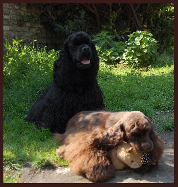 Ca cartoon des Terres de L'Instant